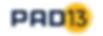 PAD-13_logo_RGB_GoldBlue-2.png